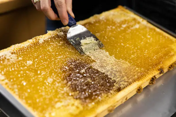 Essential Vitamins and Minerals in Honeycomb